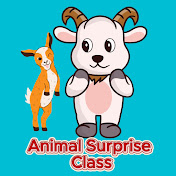 Animal Surprise Class