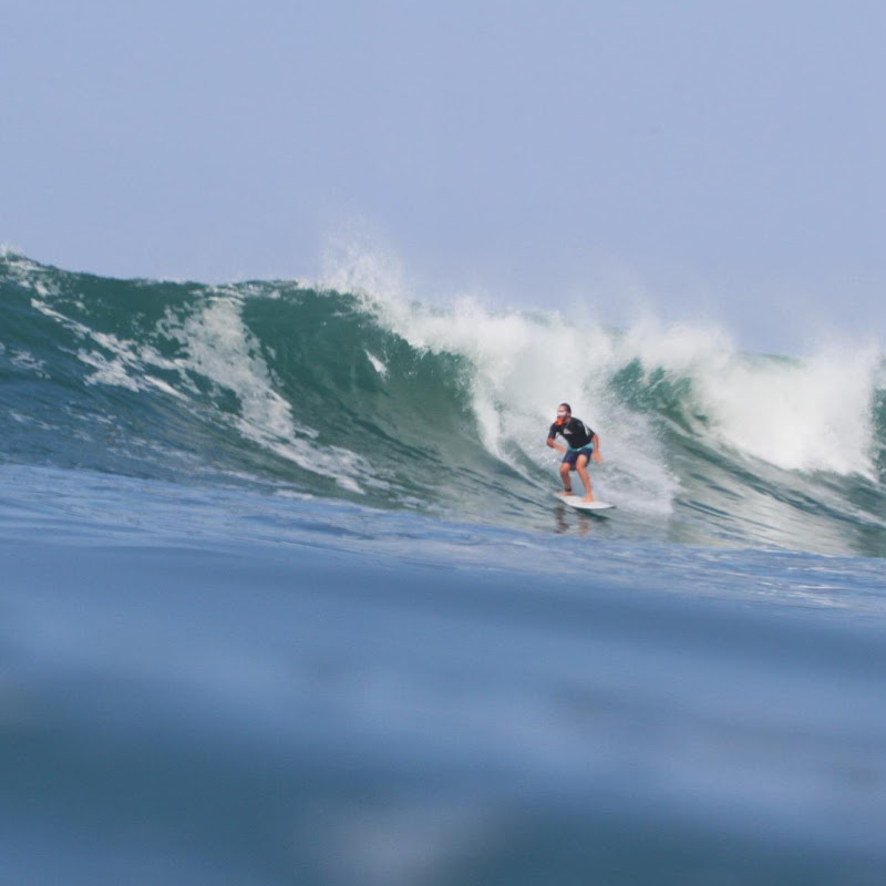 Suna Surf