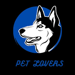 Pet Lovers avatar