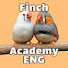 1imvNXIz2oA-channel-avatar-Finch Academy ENG