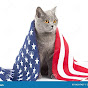USA Cat kitten Fun SA4 logo
