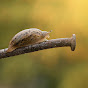 alego_fotografia