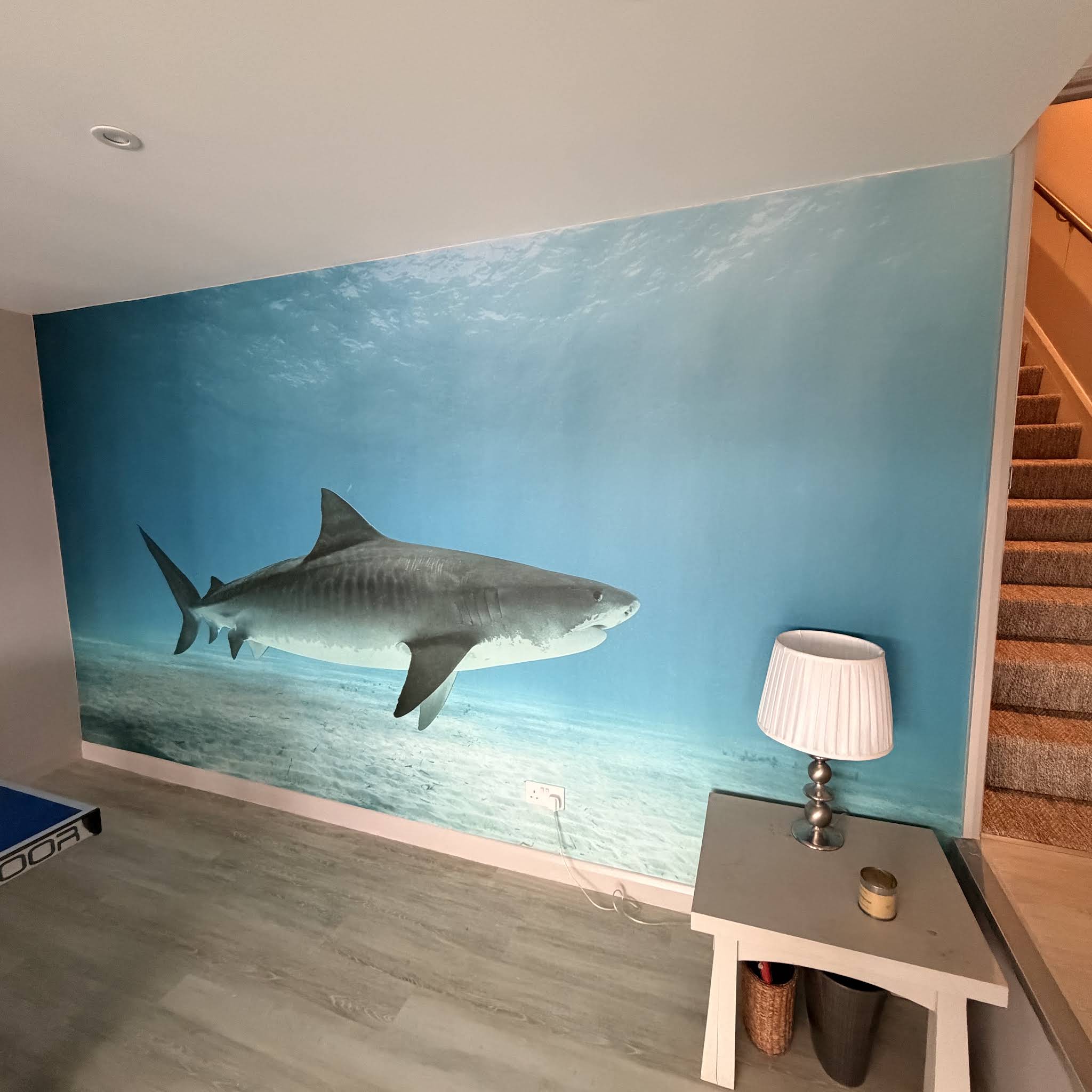 Post from SHARK BYTES