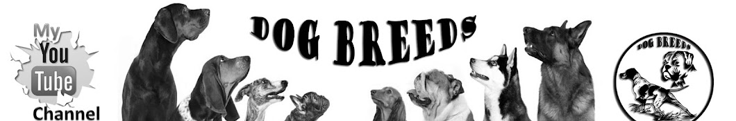 Dog Breeds Awatar kanału YouTube
