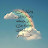 @yoyo-y6q8q