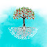 a88z8p_7hbE-channel-avatar-Schoolhouse Intuitive