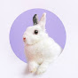 Home Tv Rabbit logo