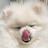 @monglee._.1004