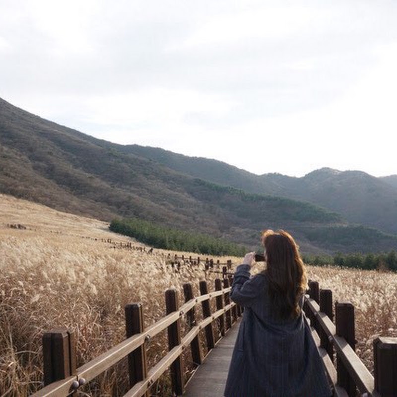 부산스런 쫑이
