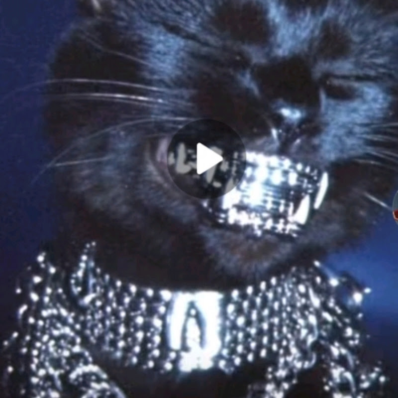 Hire meow meow gang — Comedy (Sketches, Stand-up, Commentary) YouTube creator for sponsorships