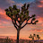 @ArchersDreamz's avatar