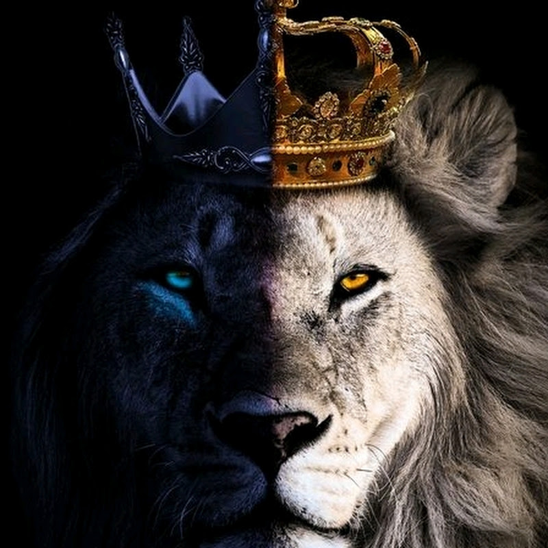 KINGSL