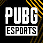 PUBG Esports Avatar