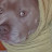 @Dawgmaster14 Avatar
