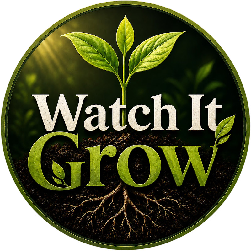 Watch It Grow
