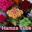 Hamza Tube