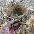BAqu13pVjYM-channel-avatar-A Bit Twisted