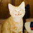 Z2aj3_sR7pA-channel-avatar-Spedup.mp6