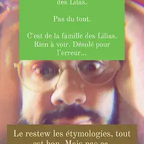 Linguisticae YouTube channel