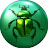 Emerald Beetle7