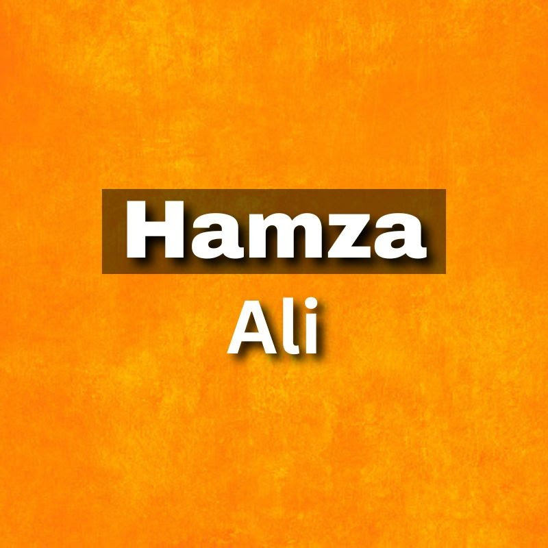 Hamza Ali 