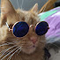 m85pJy25m_0-channel-avatar-Walkthrough! Database