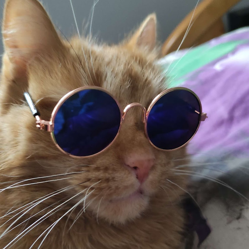 Walkthrough! Database