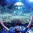 @DaveTheRave-p6z's avatar