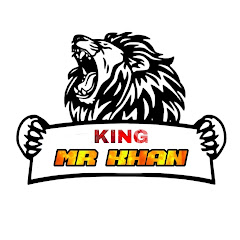Mr Khan 2.0