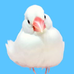 たいち