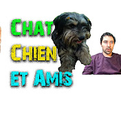 Chat Chien et Amis