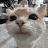 D8hnHP6THi8-channel-avatar-donify
