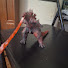 w2wM22zydp8-channel-avatar-Crimson Goji 