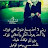 @تعلمثمتكلم-ظ3غ