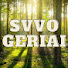 ZvI4qpn7cyg-channel-avatar-sVVogeriai