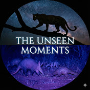 The Unseen Moments