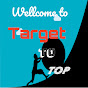 Target To Top logo