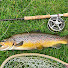 7NXJtQNdgzI-channel-avatar-West coast fly fisher 🎣