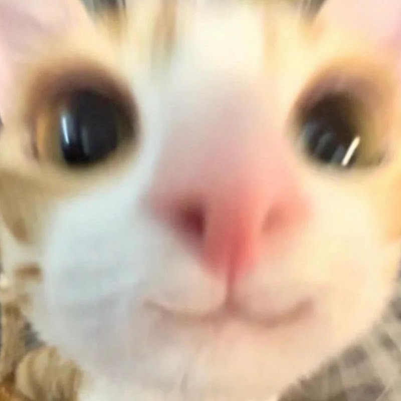 Spunky
