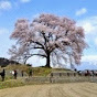 ハルの山歩き