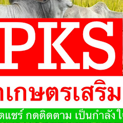พีเคเกษตรเสริมสุข