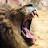 @culle67's avatar
