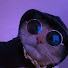 vazsuis6IgM-channel-avatar-gracie!