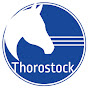 Thorostock LLC logo