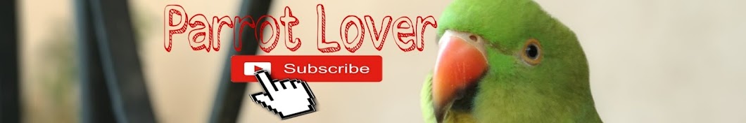 Parrot Lover YouTube channel avatar