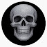 c_Ow9O5mj9Q-channel-avatar-The Silver Shiver