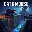 Cat & Mouse icon