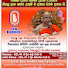 zAzgWpwjQ60-channel-avatar-halyale.wimalabuddhithero