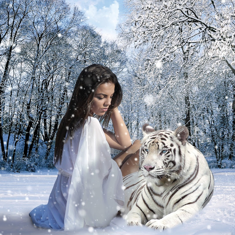 The Best Relaxation Music