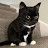 @meowmeow_choi